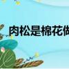 肉松是棉花做的嗎（肉松是不是棉花做的）