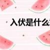 入伏是什么意思啊（入伏屬于三伏天嗎）