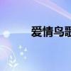 愛情鳥歌詞（愛情鳥歌詞是什么）