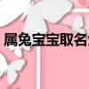 屬兔寶寶取名大全（適合兔寶寶的吉祥好名）