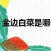 金邊白菜是哪個地方的菜（金邊白菜的做法）
