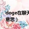 doge在聊天中什么意思（doge在聊天中啥意思）