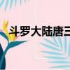 斗羅大陸唐三有幾個魂環（斗羅大陸簡介）