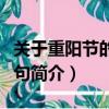 關于重陽節的好詞好句（有關重陽節的好詞好句簡介）