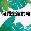 何潤東演的電視劇（何潤東演的電視劇列述）