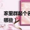 家里群起個名字洋氣（家里群起個名字洋氣有哪些）