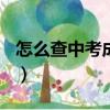 怎么查中考成績2021（如何查中考成績2021）