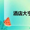 酒店大亨攻略（有什么玩的步驟）