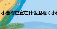 小舍得官宣在什么衛視(小舍得電視劇簡介)