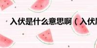 入伏是什么意思啊(入伏屬于三伏天嗎)