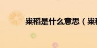 糶稻是什么意思(糶稻的意思)