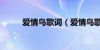 愛情鳥歌詞(愛情鳥歌詞是什么)