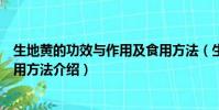 生地黃的功效與作用及食用方法(生地黃的功效與作用及食用方法介紹)