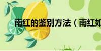 南紅的鑒別方法(南紅如何分辨真假)
