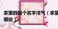 家里群起個名字洋氣(家里群起個名字洋氣有哪些)