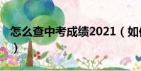 怎么查中考成績2021(如何查中考成績2021)