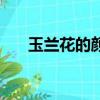 玉蘭花的顏色（常見的玉蘭花的顏色）
