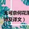 無可奈何花落去的全詩（無可奈何花落去的全詩及譯文）