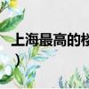 上海最高的樓有多高（上海最高的樓在哪里呢）