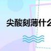 尖酸刻薄什么意思啊（尖酸刻薄意思介紹）