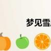 夢見雪崩（夢見雪崩代表什么）