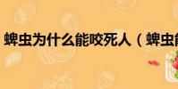 蜱蟲為什么能咬死人(蜱蟲能咬死人的原因)