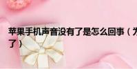 蘋果手機聲音沒有了是怎么回事(為什么蘋果手機聲音沒有了)
