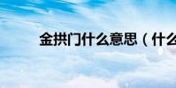 金拱門什么意思(什么是金拱門)