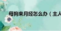 母狗來月經怎么辦(主人應仔細觀察)