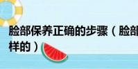 臉部保養正確的步驟(臉部保養正確順序是怎樣的)