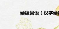 硬組詞語(漢字硬組詞語)
