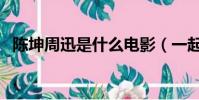 陳坤周迅是什么電影(一起演的電影介紹)