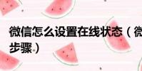 微信怎么設置在線狀態(微信設置狀態在線的步驟)