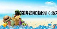 置的拼音和組詞(漢字置組詞)