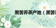 黑苦蕎茶產地(黑苦蕎茶簡介)