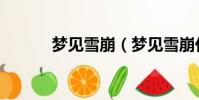 夢見雪崩(夢見雪崩代表什么)