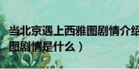 當北京遇上西雅圖劇情介紹(當北京遇上西雅圖劇情是什么)
