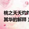 桃之夭夭灼灼其華是什么意思（桃之夭夭灼灼其華的解釋）