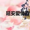 延安愛情劇情簡介（延安愛情劇情介紹）
