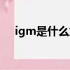 igm是什么意思（igm具體是什么意思）