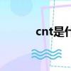 cnt是什么意思（cnt中文翻譯）