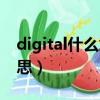 digital什么意思中文（digital中文是什么意思）