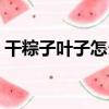 干粽子葉子怎么用（一定要這樣處理后再用）