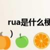 rua是什么梗（來這里了解下這個網絡用語了）