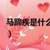 馬蹄疾是什么意思（春風得意馬蹄疾什么意思）