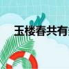玉樓春共有多少集（玉樓春電視劇簡介）