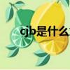 cjb是什么意思（怎么理解cjb的意思）