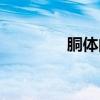 胴體的意思（胴體的解釋）