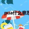 pua什么意思網上（網絡語pua什么意思）