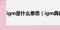 igm是什么意思(igm具體是什么意思)